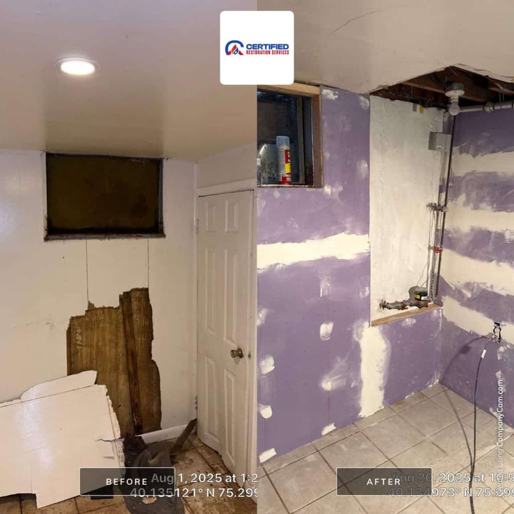 Leaking walls in the basement caused extreme mold growth. Basement Mold mitigation and a full rehab of the basement walls in Plymouth Meeting, PA — before and after, Plymouth Meeting, PA
